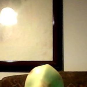 Meet your Posher, Alexander